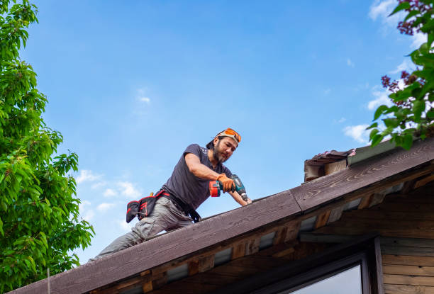 Best Metal Roofing Installation  in Hayti, MO