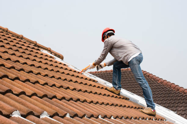 Best Roof Replacement  in Hayti, MO