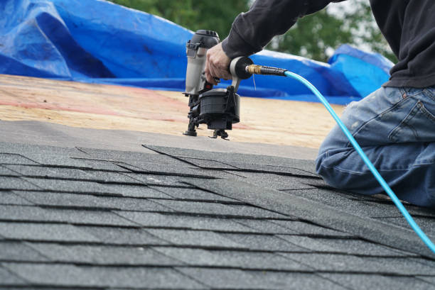 Best Roof Moss and Algae Removal  in Hayti, MO